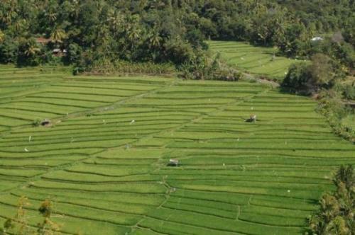 Aditya Homestay