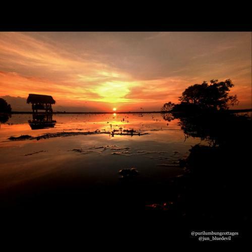 Puri Lumbung