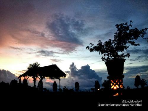 Puri Lumbung