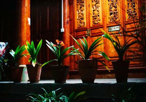 Posada Tuo Tuo Guest House
