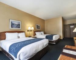 Hotel Comfort Suites