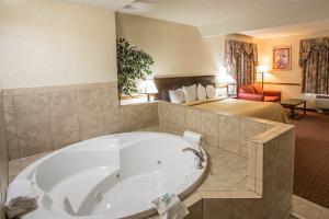 Hotel Comfort Inn