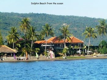 Dolphin Beach Bali