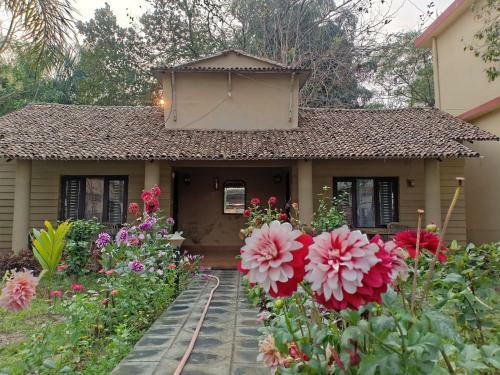 Hotel Jungle Resort