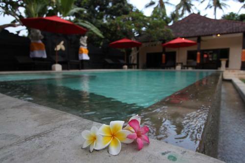 Hotel Melamun