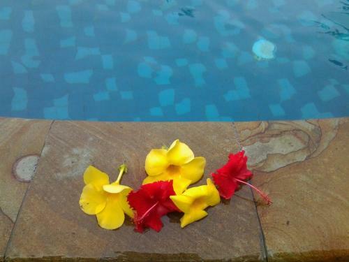 Hotel Nirwana Sea Side Cottages