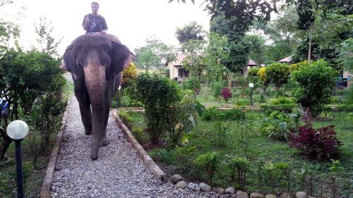 Hotel Chitwan Safari Camp & Lodge