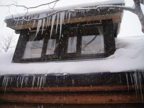 Lodge Pension Woody Note