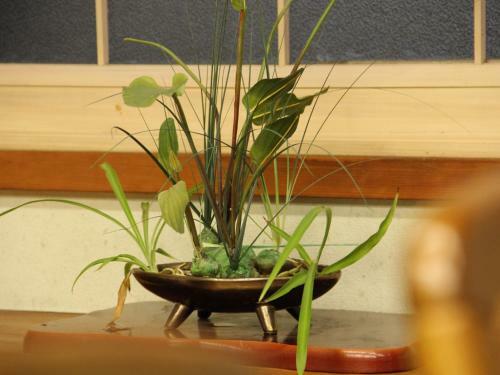 Hatoguruma Kawabata