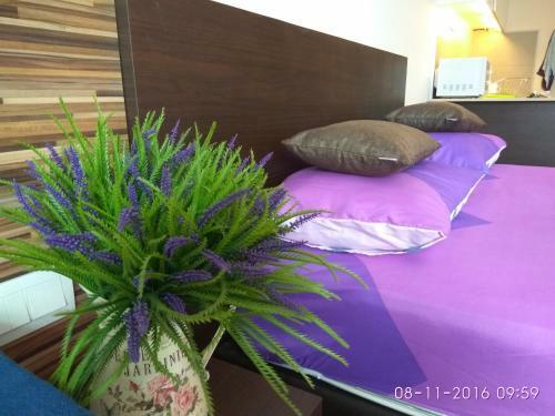 Chantek Studio Apartment