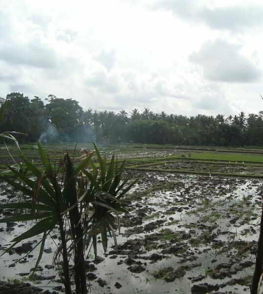 Villa Kayu Lama