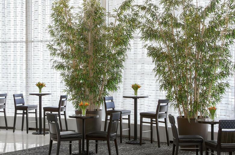 Hotel Embassy Suites Philadelphia - Center City