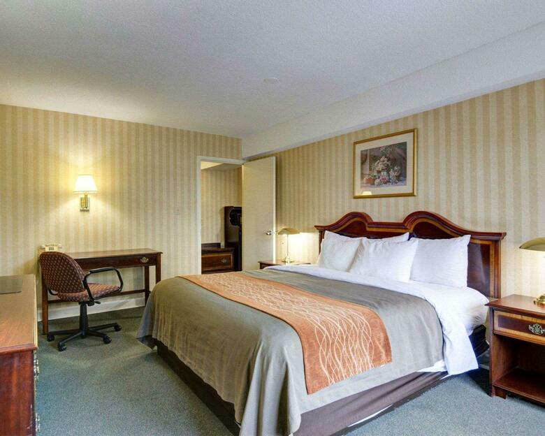 Hotel Comfort Inn Tysons Corner