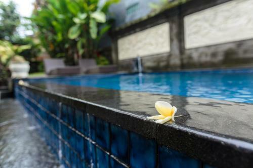 Hostal Warji House 2
