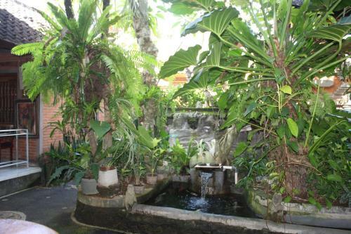 Hostal Raka House Accommodation