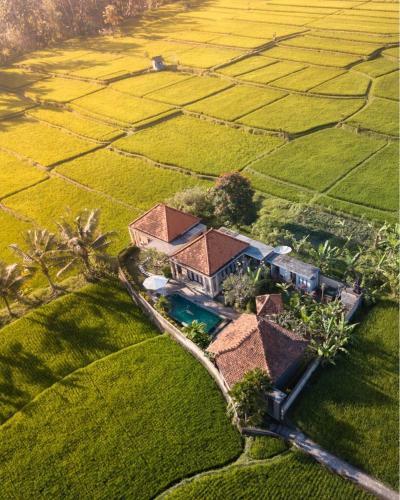 Villa Puri Landu Ubud