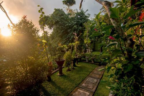 Bed & Breakfast Ben Bungalow
