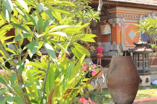 Hostal Mandala Bungalows
