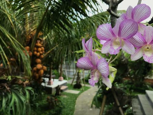 Hostal Ubud 2 Bungalows