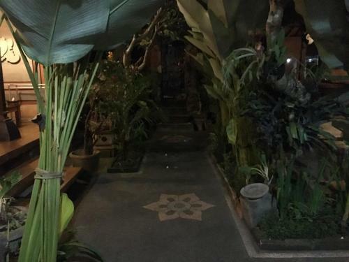 Bale Bali House