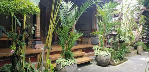 Bale Bali House