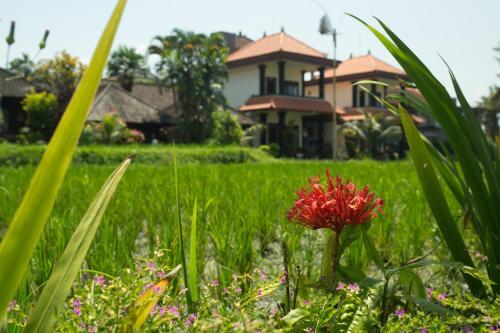 Hostal Puji Bungalow