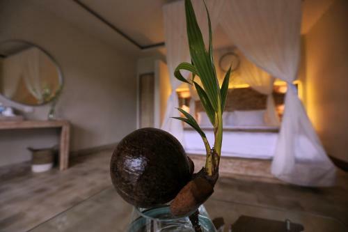 Hostal Angsoka Bungalow