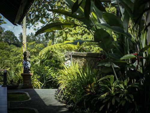 Hostal Angsoka Bungalow