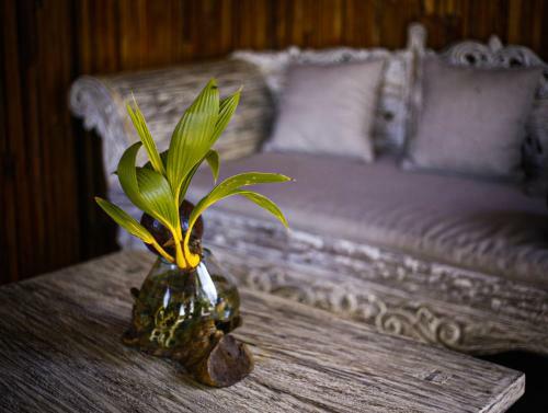 Hostal Angsoka Bungalow