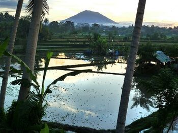 Temuku Villas Ubud