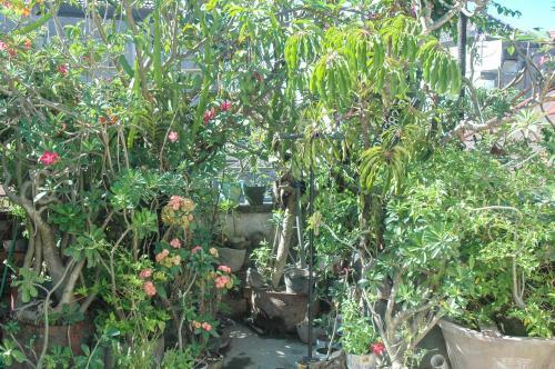 Tari Bed & Breakfast