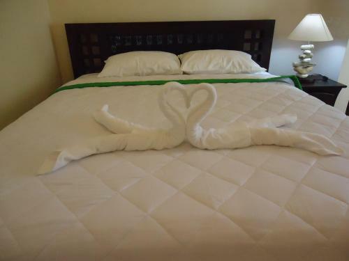Hostal Brata Inn
