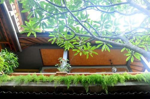 Hostal Candra Asri Bungalows