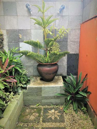 Villa Dua