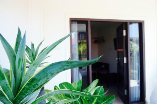 Villa Taluh