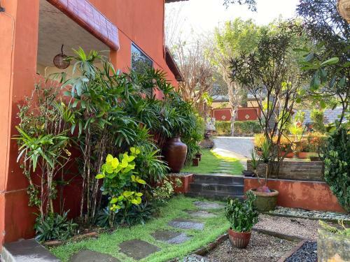Villa Anjing 2