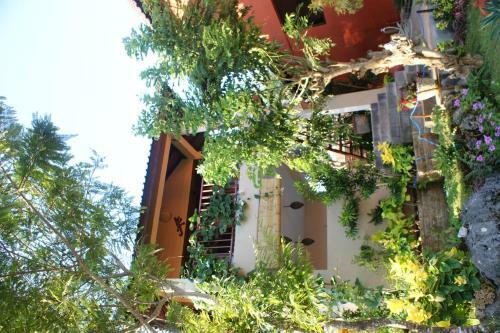 Villa Anjing 2