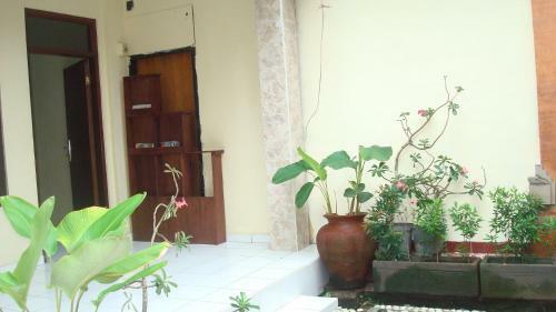 Sri Deva Guest House