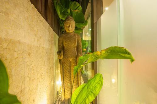 Villa Cicada Executive Residence