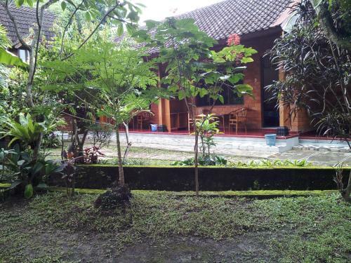 Hostal Madra Homestay