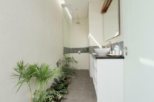 Apartamentos Apple Suite