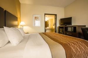 Hotel Comfort Inn