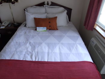 Hotel Econo Lodge & Suites