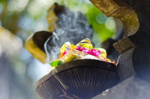 Hostal Sayan Romantis Ubud