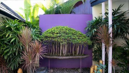 Bonsai Villas