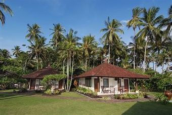 Hotel Lotus Bungalows