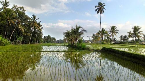 Hostal Villa Di Sawah
