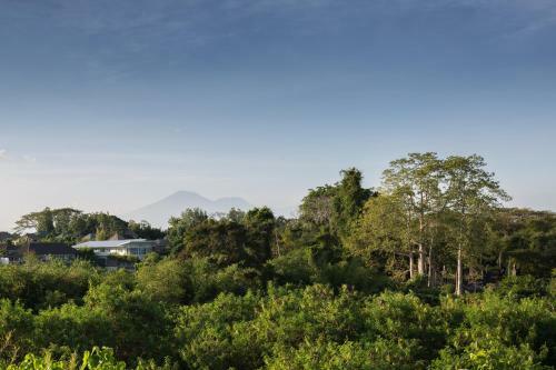 Pande Homestay
