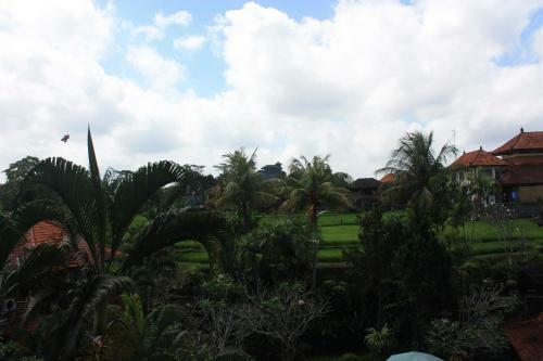 Raditia Homestay