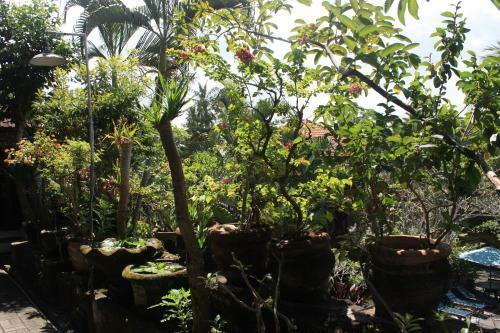 Raditia Homestay